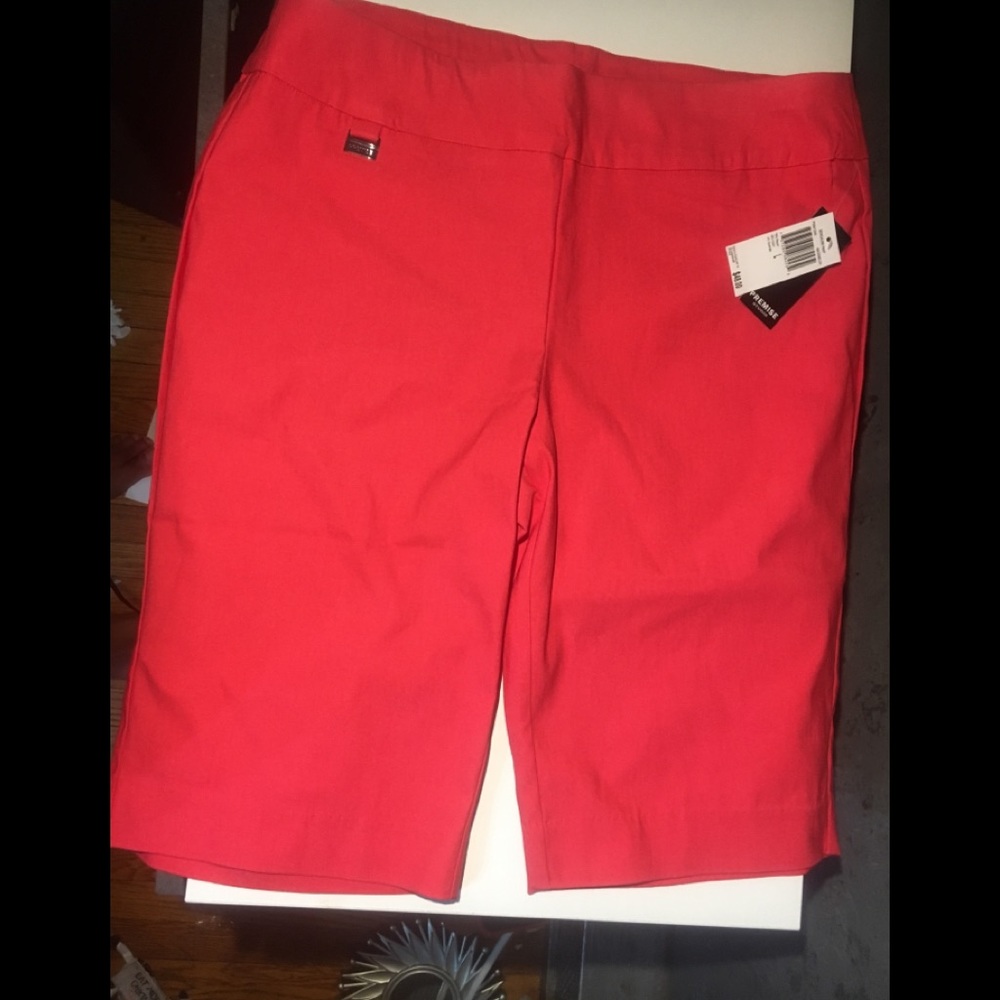 Premise studio bengaline pant